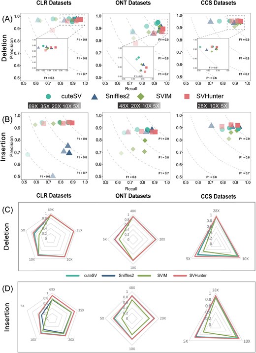 Detection results on the GIAB HG002 SV dataset, comparing performance across different sequencing platforms and coverage. (A) DEL results at different coverages. (B) INS results at different coverages. (C) DEL genotype results at different coverages. (D) INS genotype results at different coverages.