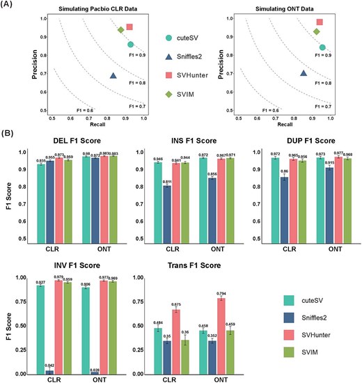 Results on the simulated dataset. (A) Precision and recall for PacBio CLR and ONT data. (B) F1 scores for different variant types (DEL, INS, DUP, INV, and TRA) across CLR and ONT simulated datasets, comparing the performance of different tools.