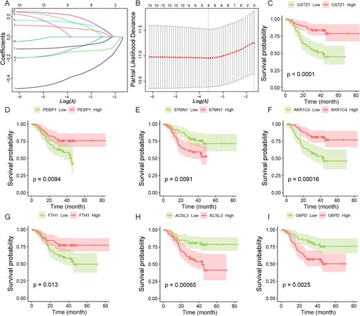 LASSO-penalized Cox regression analysis and single-gene survival analysis based on protein expression.(A) LASSO coefficient profiles of the 10 prognostic DEPs. Each curve represents a coefficient, and the x-axis represents the regularization penalty parameter. As log(λ) (a tuning parameter) changed, the corresponding coefficients of certain DEPs were reduced to zero, indicating that their effects on the model could be omitted. (B) 10-fold cross-validation to select the optimal tuning parameter (λ). Two black vertical lines were plotted at the minimum partial likelihood deviance and minimum 1 standard error, respectively. (C) ~ (I) Kaplan–Meier survival curves of seven DEPs related to ferroptosis and iron metabolism (CHCC-HBV cohort). The statistical significance of survival differences was determined by the log-rank test.