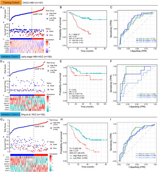 Construction and validation of a prognostic model based on seven ferroptosis and iron metabolism-related DEPs. (A) The distribution of risk scores across different protein expression characteristics in the training cohort. The dotted vertical line divides HCC patients into low-risk and high-risk groups according to the optimal cutoff value of 0.39. (B) Kaplan–Meier survival curves of low-risk and high-risk group in the training cohort. (C) Time-dependent ROC curves for predicting 1-year to 3-year survival in the training cohort. (D) and (G) The distribution of risk scores across different protein expression characteristics in the validation cohort. (E) and (H) Kaplan–Meier survival curves of low-risk and high-risk group in the validation cohort. (F) and (I) Time-dependent ROC curves for predicting 1-year to 3-year survival in the validation cohort. The statistical significance of survival differences was determined by the log-rank test.