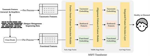 An overview of the proposed framework, illustrating the overall data processing and model architecture, which consists of multistage fusion: early-stage fusion—FAFEM; middle-stage fusion—AEFM; late-stage fusion—IFDL.