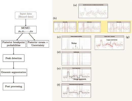 Left panel: see caption. Right panel: example copy number profiles showing per-bin noisy copy numbers with gray dots, predicted breakpoints with dashed vertical lines, predicted segment copy number values with solid horizontal segments and uncertainty with a shaded region.