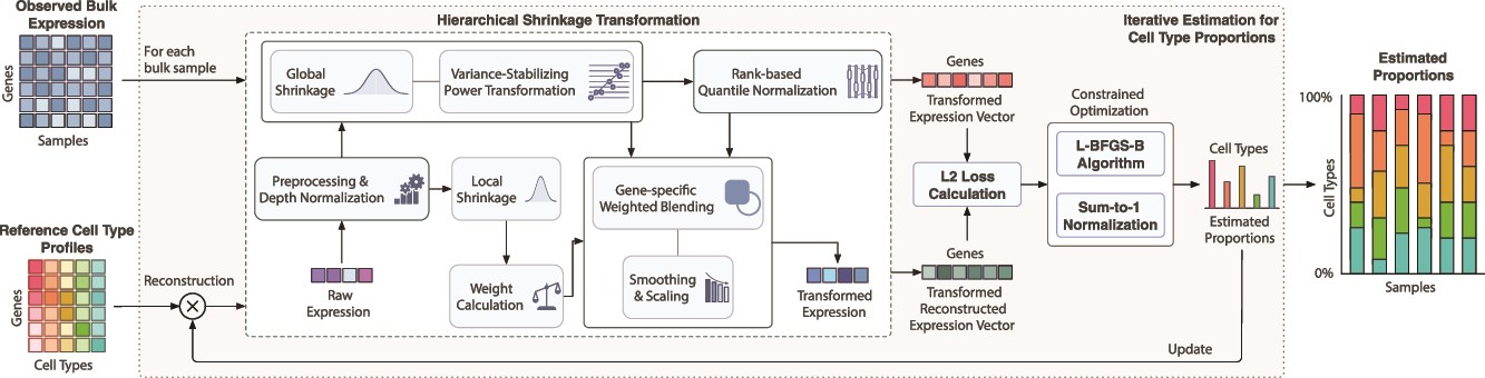 Flow diagram of the DeOPUS pipeline running left to right, from bulk expression and reference cell type profiles, through the HST and optimization, to the estimated cell-type proportions.