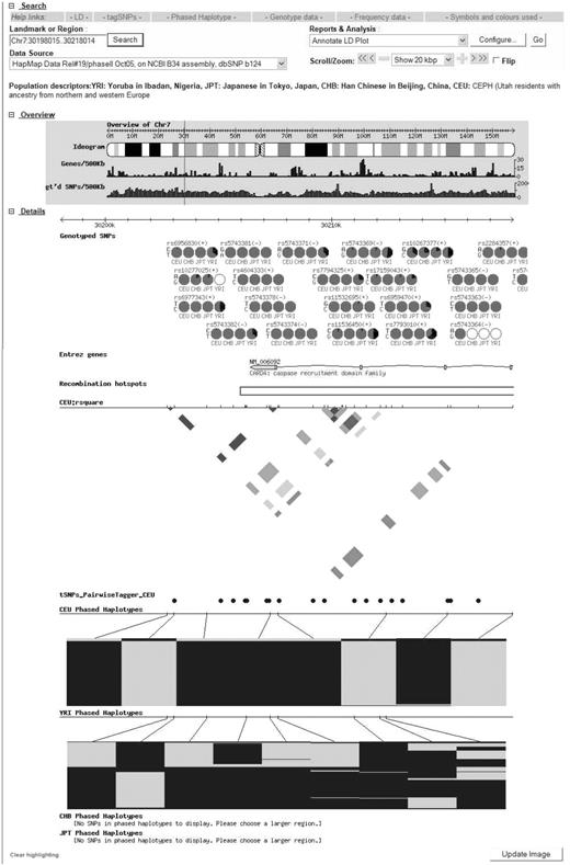 The HapMap genome browser. HapMap genome browser view across the 3′ portion of the CARD4 gene. Tracks display genotyped SNPs with allele frequencies represented by a pie in each population, known genes, recombination hotspot information, HapMap r2 LD information, tag SNPs selected by the tagger program and haplotypes computed by the PHASE program.
