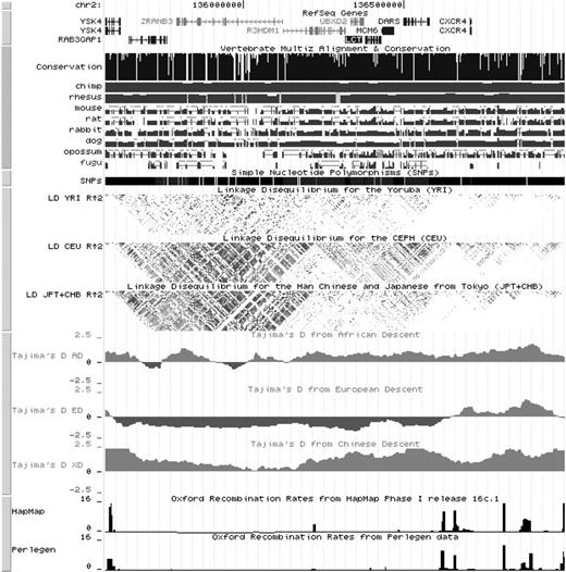 The UCSC genome browser. The Lactase (LCT) gene locus is visualized. Tracks describe known genes, conservation across a range of vertebrate genomes, SNPs, LD in CEU, YRI and JPT–CHB populations. Tajima's D values present evidence of selection in populations of African, European and Asian descent. Negative Tajima's D values seen in Caucasians represent strong evidence of positive selection across the Lactase locus. The bottom two tracks show recombination hotspots independently identified in the HapMap and Perlegen data sets. These are clearly seen to disrupt haplotype blocks across the locus in all three populations.