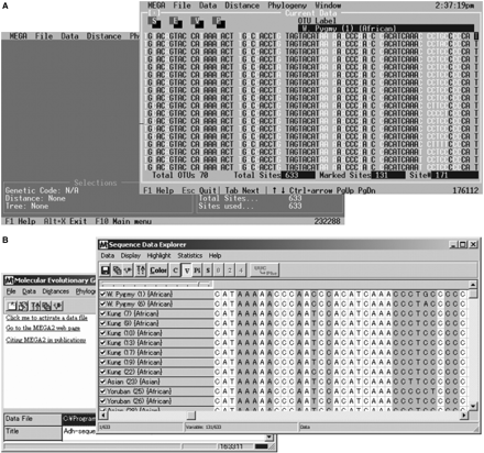 Screenshots of the first version of MEGA containg a character-based point-and-click interface for use on DOS (A). MEGA 1 evolved into a Windows program (MEGA 2) with an extensive GUI (B). The main MEGA windows are overlaid with the Input Sequence Data Explorer, in which columns containing at least two different types of nucleotides (variable sites) are highlighted.