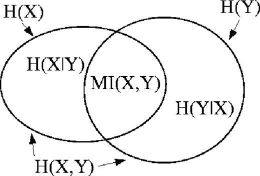 Venn diagram of entropy space.