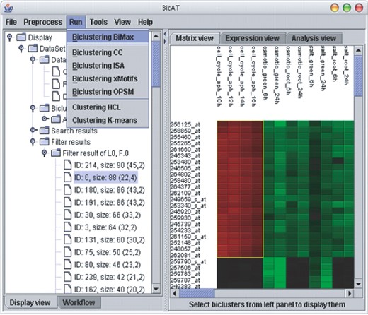 BicAT软件的图形用户界面。左侧的窗口以树状结构显示加载的数据集和执行的分析步骤。右侧的面板显示了表达式矩阵的热图视图，其中所选的双簇以黄色框显。
