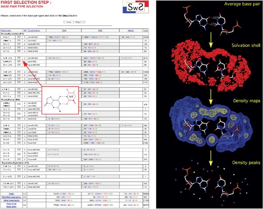 显示SwS生成的第一个和第四个网页摘要的屏幕截图。（左）第一页显示了一个表格（2007年1月15日更新），提供了Leontis和Westhof（2002）分类中33个DNA、RNA和杂交碱基对的出现和溶解的统计信息。可以显示每个基极对的草图（这里是cis-WC/WC类型的G•U对）。（右）可视化页面提供的四种数据表示：（i）平均基对；（ii）溶剂化壳；（iii）密度图和（iv）根据强度着色的密度峰。