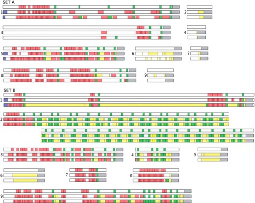 Details of daTAA and PFAM performance in comparison with manual annotation. The two sets of sequences are as described in the Methods. In each group, the first box denotes the PFAM annotation, the second daTAA and the third the manual annotation. Matches are colored according to their functional class as autotransporter signal peptide: blue, heads: red, connectors: green, stalks: yellow, anchor: grey. Set A. 1. gi|153095004| Mannheimia haemolytica PHL2132. gi|149190224| Vibrio shilonii AK13. gi|154149446| Campylobacter hominis ATCC BAA-3814. gi|153834639| Vibrio harvei HY015. gi|153093295| Mannheimia haemolytica PHL2136. gi|150380584| Shewanella sediminis HAW-EB37. gi|148827620| Haemophilus influenzae PittGG8. gi|154149537| Campylobacter hominis ATCC BAA-3819. gi|149909020| Moritella sp. PE36Set B. 1. gi|78061293| Burkholderia sp. 3832. gi|161017094| Bartonella tribocorum CIP 1054763. gi|161505469| Salmonella enterica subsp. arizonae4. gi|156124985| Acinetobacter venetianus5. gi|157145682| Citrobacter koseri ATCC BAA8956. gi|155199120| Escherichia coli7. gi|86750771| Rhodopseudomonas palustris HaA28. gi|85709253| Erythrobacter sp. NAP19. gi|162429157| Methylobacterium nodulans ORS 2060.
