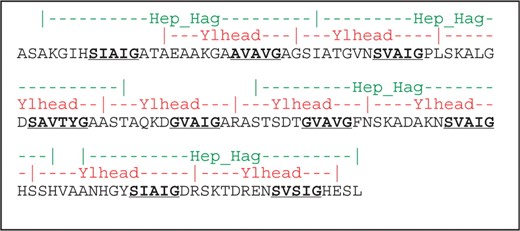 Comparison of the annotation of consecutive repeats in the YadA head. The first line (green) denotes the PFAM annotation, the second line (red) daTAA. The third line shows the sequence of the YadA head, with the conserved SVAIG motifs bold and underlined.