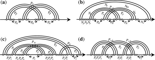 Illustration of the pseudoknots. (a) A Simple pseudoknot. (b) A pseudoknot inside a multiloop. (c) A pseudoknot within a pseudoknot. (d) Overlapping pseudoknots. Nm is the penalty of generating a multiloop, Np is the penalty of the pair in a multiloop and Nn is the penalty of non-paired base in a multiloop. The parameters describing features of these pseudoknots are given in Table 4.