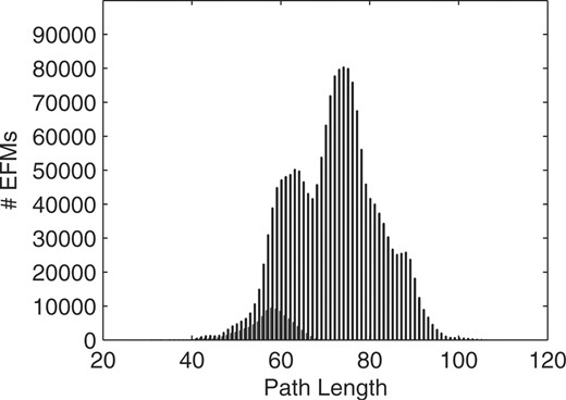 Path length distributions of EFMs for glycine production in H.pylori when glycine is produced alone (dark bars) or possibly jointly with other amino acids (light bars).