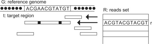其目标是将每个短读取映射到参考基因组，允许读取区域和目标区域之间存在一些不匹配。