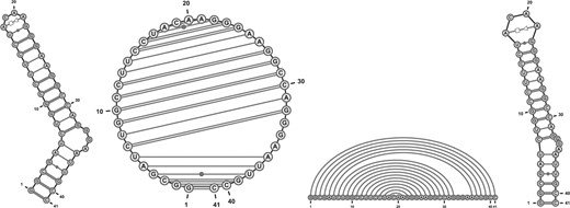 Four representations (Radial, Circular, Linear and NAView) of the GAG-Pol -1 frameshift-inducing element in HIV-1 (PDBID:1ZC5) as rendered by VARNA under default settings.