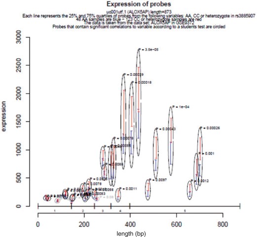 Effect of the rs3885907 SNP on the expression level of ALOX5AP. Visualization of the expression levels of all probes with sequences mapping to current ALOX5AP sequence. The data have been stratified by risk allele (AA) or non-risk allele (CC and heterozygote) of rs3885907. The y-axis indicates intensity values of each probe. The x-axis shows the length of the gene ALOX5AP, measured in base pair. Vertical bars show the span of the 25% and 75% quartiles of samples that are either AA (blue) or CC/heterozygote (red). Gray and black circles highlight probes, which have a significant relation to the genotype of the SNP. The significance of this relation has been calculated using a linear additive model as implemented in R. The exon structure of ALOX5AP is shown along the x-axis. It has been created using the exonStructure function based on sequence data from the UCSC genome browser. Expression data were taken from 171 samples in the Gene Expression Omnibus (GEO) dataset GSE9372. Genotype data were downloaded from the HapMap project.