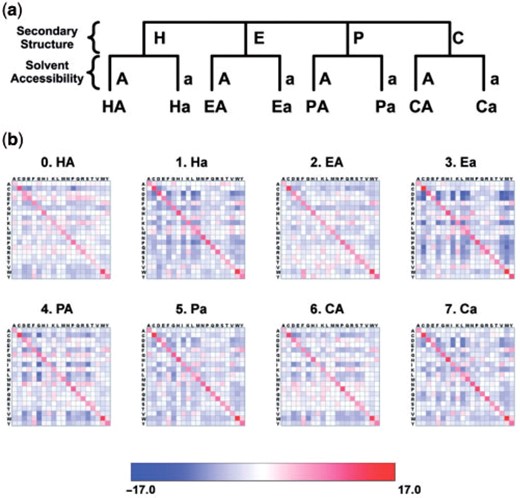 Environment feature combinations and ESST generation. (a) The environment features are secondary structure type (H: helix, E: beta sheet, P: positive phi, C: coil) and solvent accessibility (A: solvent accessible, a: solvent inaccessible). Eight sets of combinations of environment features are generated. (b) Heat maps from each of resultant ESSTs. Blue to red indicates log-odds ratio of substitution probabilities.