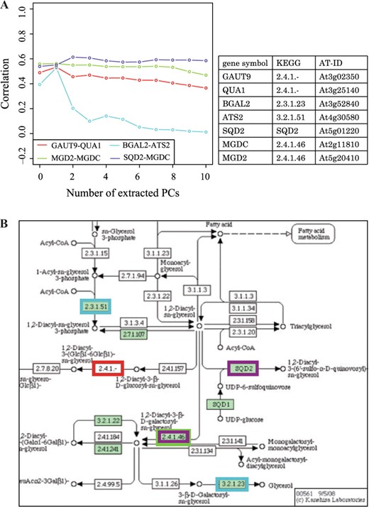 (A) Correlation change for genes in Glycerolipid metabolism (ath00561) and (B) their location in KEGG pathways.