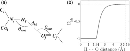 Hydrogen bond definitions. (a) An illustration of dhb, θNHO and θHOC, the three major measures that define a backbone hydrogen bond (BHB) in this work. (b) Chemical interpretation of the hydrogen bond distance dhb. The function Dhb (see the text) is the basis for both the cooperative and non-cooperative terms. It converges to zero at dhb of 5.5 Å.
