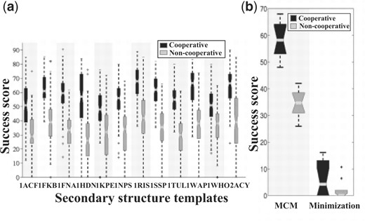 The cooperative term significantly enhances the formation of beta sheets (P < 0.03 for downhill minimization simulations and P < 0.0004 for MCM simulations). (a) Success rates of MCM optimizations of 12 poly-alanine chains that borrowed their secondary structure assignment from mainly beta proteins (Table 1). Each box presents the interquartile range (between the 25th and 75th percentiles) of 100 optimization simulations, with a notch representing the median value. The dashed lines represent the lowest and highest data still within 1.5 interquartile ranges below the lower quartile, and above the third quartile. The asterisks indicate outliers outside that range. (b) Summary of the median results of all 12 chains in both downhill-minimization and MCM simulations. Each box represents 12 median values.