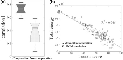 Correlation between the total energy value and the success score is significantly (P <0.05) stronger when the cooperative term is included. (a) Summary of median values of the correlations of all 12 chains with and without the cooperative term. (b) Specific example of the correlation in the simulations of 1RIS-like poly-alanine chains. Models resulting from both downhill-minimization and MCM simulations are presented.