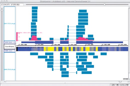 Visualizing ESTs and tiling array data. ESTs (blue) are from a 454 sequencing experiment (Weber et al., 2007). An Annotation Depth Graph (red) summarizes ESTs covering Arabidopsis gene model AT4G37300.1 (dark blue). An expression tiling array genome graph is shown in blue/yellow heatmap style (Yamada et al., 2003). Data are from Arabidopsis seedlings.
