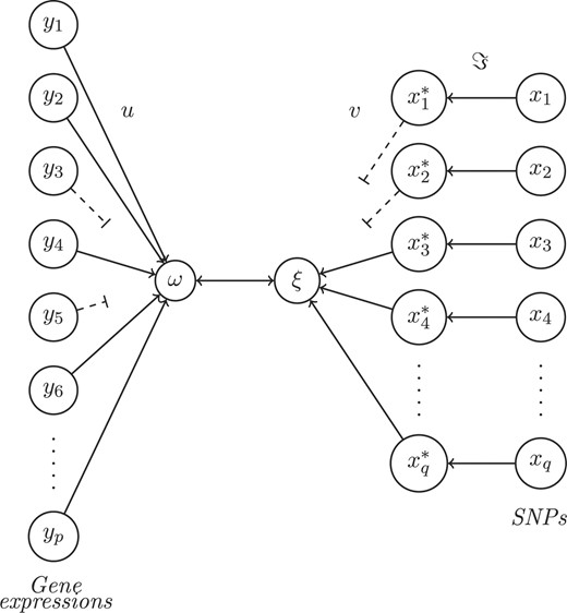 The PNCCA. Qualitative variables within dataset X are transformed (ℑ) (based upon ω) into quantitative variables (X*). Datasets Y and X* are summarized into underlying structures (ω and ξ), which correlate maximally. Variables that contribute little, based upon their weights (u and v) are eliminated (dotted lines) and the relevant variables remain.