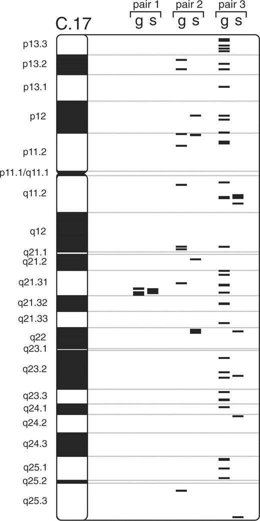 Location of the selected genes and SNPs in chromosome 17, g represent the selected genes and s the selected SNPs. From left to right, the first, second and third canonical variate pair is depicted.
