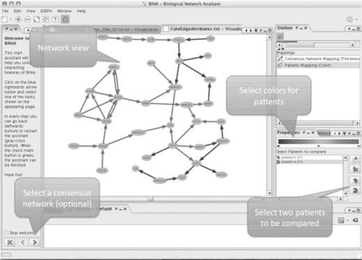 BiNA GUI for the visualization of the FiDePa results.
