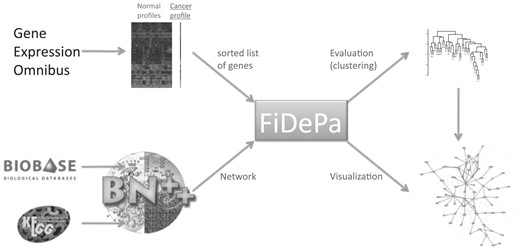 FiDePa Workflow.
