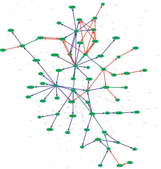 BiNA visualization of the two patients A (blue, survival time 477 weeks) and B (red, survival time 41 weeks). Edges on significant paths in both tumors are colored green. The network shows the relevant part of the complete consensus network, whereas the non-relevant part of the consensus network is presented by gray edges and nodes in the background.