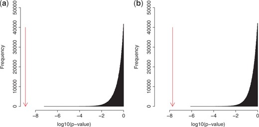 The P-values of the (a) top and (b) 10th interactions (shown by arrows) and the distributions of P-values of the corresponding null examples generated.