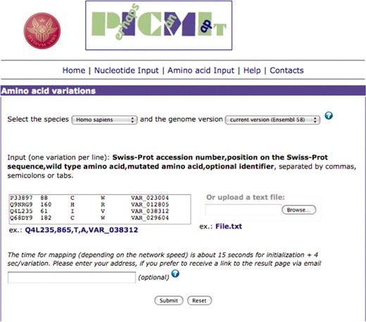 Input page of PICMI for amino acid variations.
