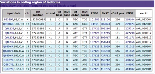Example of the output of PICMI for amino acid variations falling in a coding region.