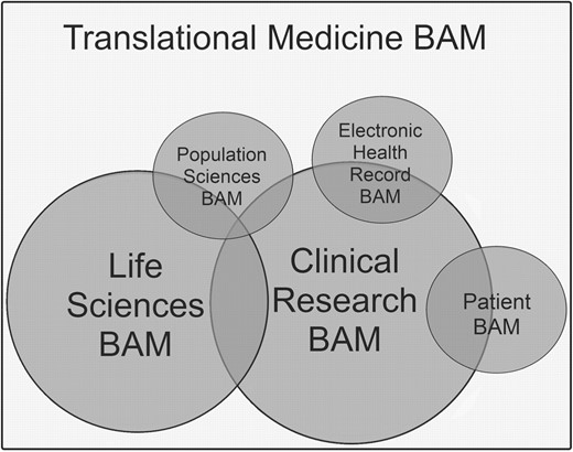 The Translational Medicine BAM—conceptual future vision. Currently there are two mature caBIG BAMs—a LSs research BAM and a CR BAM. Work has begun to create BAMs for population sciences, cancer electronic health records and patients involved in human subjects research (Patient BAM). The vision is that these individual models will eventually be integrated to form the Translational Medicine BAM (rectangle). Areas of synergy between goals documented within the various BAMs are represented by overlap. BAM circle circumference represents the current relative maturity and size of each model.