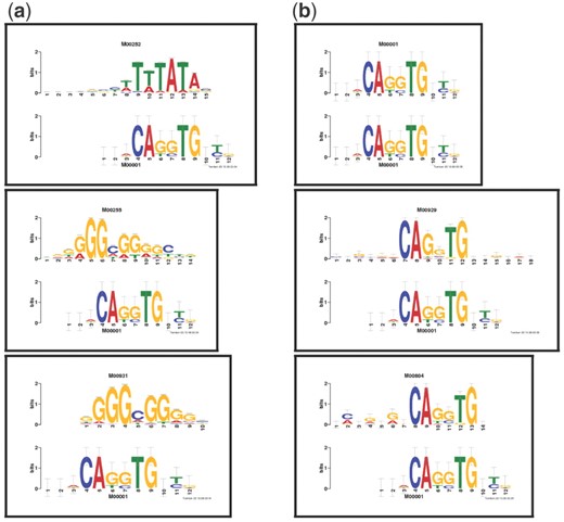 Top three TRANSFAC hits to the query TRANSFAC motif M00001.The figure shows the top three TRANSFAC alignments Tomtom found in response to the query TRANSFAC motif M00001 using BLiC (a) and ED (b) similarity scores. The visual alignments clearly show that using the BLiC score ranked undesirable alignments as top hits, whereas ED assigns the highest ranks to motifs that appear similar. The top three target motifs for the BLiC score have 389, 274 and 235 sites, respectively. These numbers are relatively large when compared with the average number of sites in TRANSFAC (29.5).