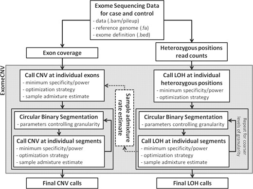 Overview of ExomeCNV analysis workflows. Two workflows are present: CNV detection and LOH detection. Each involves similar steps of exon/position/segment-wise CNV/LOH calling, Circular Binary Segmentation, and interval merging. User inputs and parameters are listed at each step.
