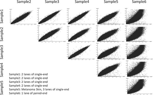 Correlation of depth-of-coverage across exome sequencing samples. To demonstrate the consistency of capture and sequencing efficiency of individual exons represented by the depth-of-coverage per exon, the normalized individual exon coverage in all pairs of six-independent exomes were plotted. All 6 samples were captured using the Agilent SureSelect Human All Exon G3362. Samples 1–5 had mean base coverages of 36~39× as a result of 2 (Samples 1–4) or 3 (Sample 5) lanes of GAIIx single-end sequencing per sample. Sample 6 had mean base coverage of 60× as a result of 1 lane of GAIIx paired-end sequencing and demonstrates substantially different biases in individual exonic depth-of-coverage.