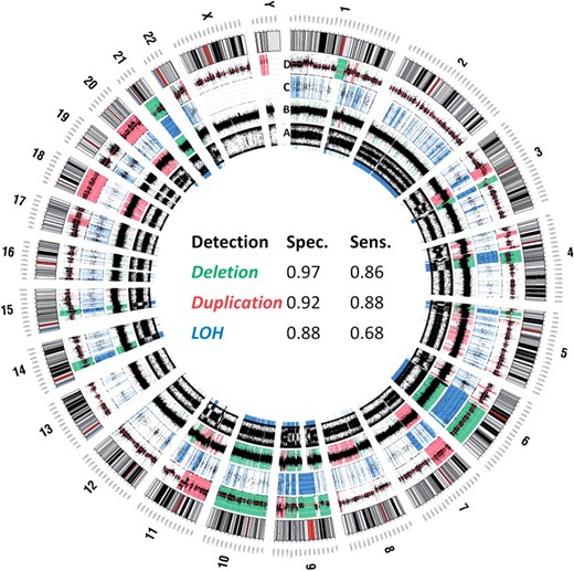 Analysis of melanoma and paired normal samples. Interpretation of deletion, duplication and LOH from exonic sequence data using ExomeCNV and plotted with Circos. The most outer ring shows the chromosome ideograms in a pter–qter orientation, clockwise with the centromeres in red. From inside to outside, each data track represents (A) B-allele-frequency (BAF) from Omni-1 genotyping array with the region of LOH highlighted in blue underneath the track; (B) Log R Ratio (LRR) from genotyping array with the region of gain highlighted in red and the region of loss highlighted in green; (C) BAF from ExomeCNV output from ~40× depth-of-coverage exome sequencing with the region of LOH highlighted in blue; (D) log ratio of tumor and normal depth-of-coverage with the segment mean in red line, the region of gain highlighted in red and the region of loss highlighted in green. The LOH and CNV for the chromosome X and Y were not called for the genotyping data as genoCN (the algorithm used to call CNV from Omni-1) is not designed to analyze chromosome X and Y. The table in the middle summarizes best achievable specificity and sensitivity of ExomeCNV in detecting CNV and LOH relative to CNV/LOH calls from Omni-1 array assessment.