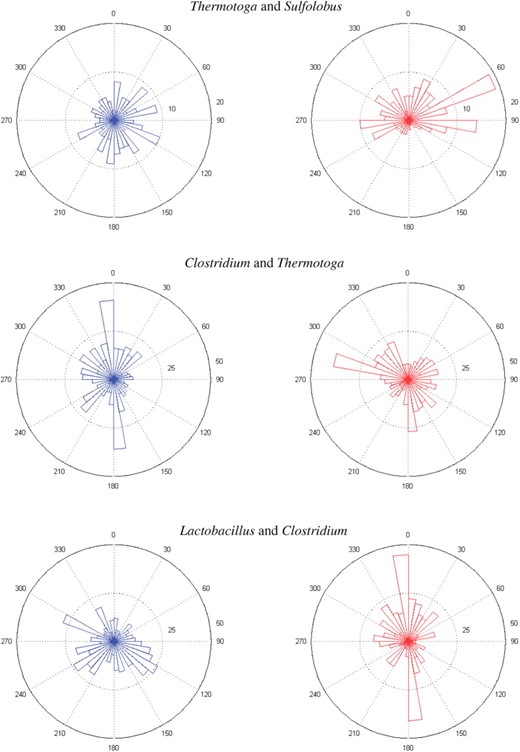 The rose diagrams of shared orthologs, identified by protein sequence similarity 0.7, of three pairs of prokaryotic genomes.