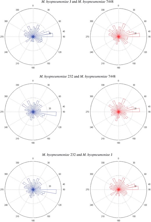The rose diagrams of shared orthologs, identified via protein sequence similarity 0.7, of three pairs of hyopneumoniae bacteria.