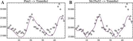 Examples of reconstruction of circadian oscillation signals. Both panels show reconstructions of the expression profile of gene Timm8a1 (intensity in arbitrary units versus time in hours) driven by (A) gene Pim3 and (B) gene Slc25a32.
