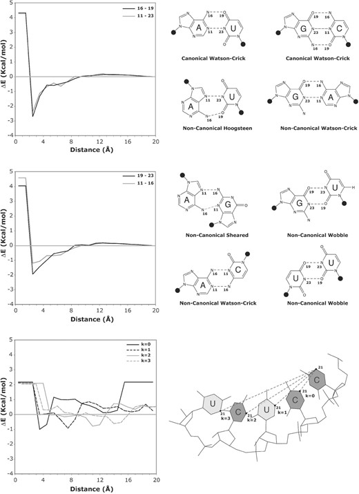 Example energy score functions of RASP-ALL potential. Pairs of interacting atom types are shown in the inset legend of the graphs. The type of interaction being described is graphically illustrated at the right side of each graph. Top Panel: hydrogen bonding energy score of base pairing geometry in canonical Watson–Crick pairs (A–U and C–G), non-canonical Hoogsteen base pairs (A–U) and non-canonical Watson–Crick A–G pair for non-local potentials (i.e. topological factor or k ≥ 6). Mid panel: hydrogen bonding energy score describing non-canonical base pairs such as Sheared (A–G), Wobble (G–U and U–U) and non-canonical Watson–Crick A–C pair for non-local potentials. Bottom panel: energy score for the interaction of atom types 21 versus 21 at different topological factors illustrating geometrical aspects of the base stacking in RNA.