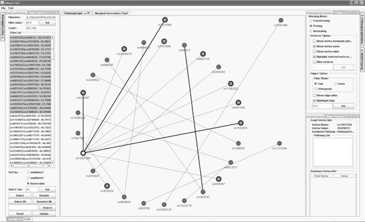 A snapshot of a pathway graph generated from 20 interaction pairs from one GBOOST result. Each node is labeled by its SNP name and the node value is the marginal association score from the association analysis. The edge value is the interaction score of the linked nodes (i.e. SNP pairs). Scaling, rotation and translation are available in the pathway graph. Various functions are also avaliable to remove or highlight components in the pathway graph. The layout can be interactively customized.