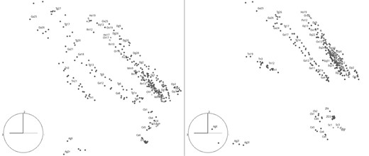 n=3（左侧）和n=6（右侧）的384条核染色体的3D MDS图。