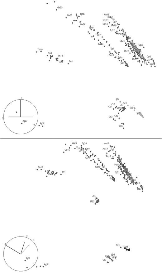 n=8的384条核染色体的3D MDS图的两个不同视图。阴影点代表核染色体，有些标记是为了可读。
