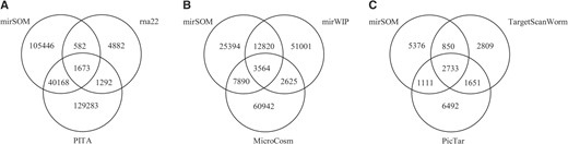 The degree of overlap between the predictions of mirSOM compared with six other miRNA target prediction tools. The number of mirSOM predictions included in each comparison depends on the scope. (A) All mirSOM predictions compared with rna22 and PITA, (B) mirSOM predictions for orthologous miRNAs compared with mirWIP and MicroCosm and (C) mirSOM conserved predictions compared with TargetScanWorm and PicTar.