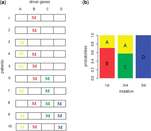 Distribution of mutations in driver genes and estimates of their order (a) Distribution of mutations in four driver genes for ten patients of the same tumor type. For each patient, the colored letter ‘M’ represents a mutation for the corresponding gene. (b) Estimates for Pk,i, the probability that the k-th mutational event involving the four driver genes occurs in gene i. The length of the sub-bar corresponding to gene i at the k-th mutational event is the estimates for Pk,i