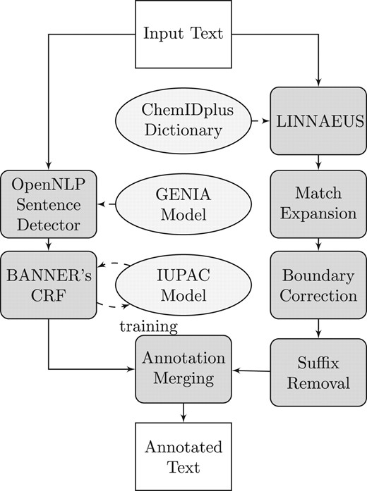 Overview of ChemSpot's architecture. The left branch corresponds to ChemSpot's CRF and the right branch to its dictionary component. Both are independently used to annotate text. Subsequently, annotations of both components are merged