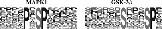 Logos for two residual motifs identified by MMFPh